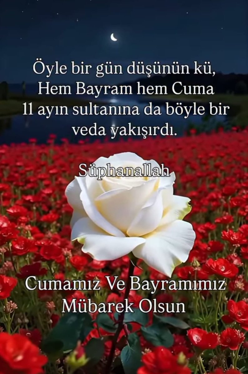 Yeter Zeynep tweet media