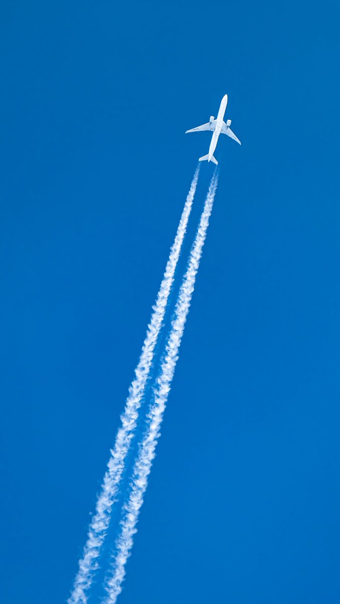 MANATO/ITM_77W tweet media