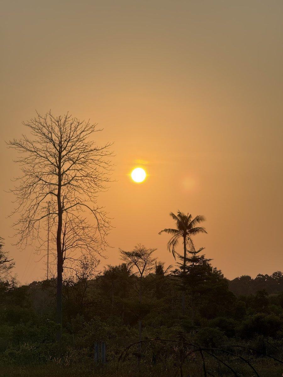 HD שמעון tweet media