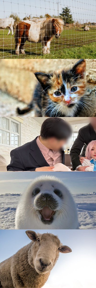 ららたん❕ tweet media