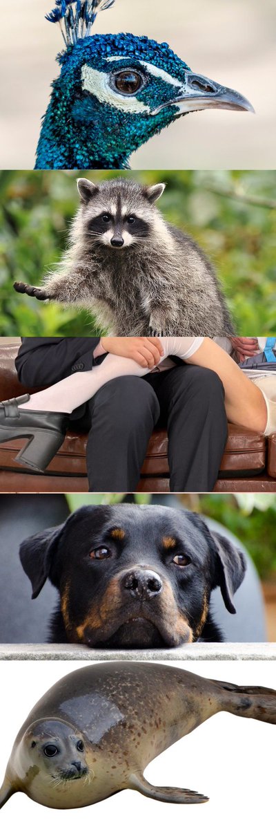 ららたん❕ tweet media