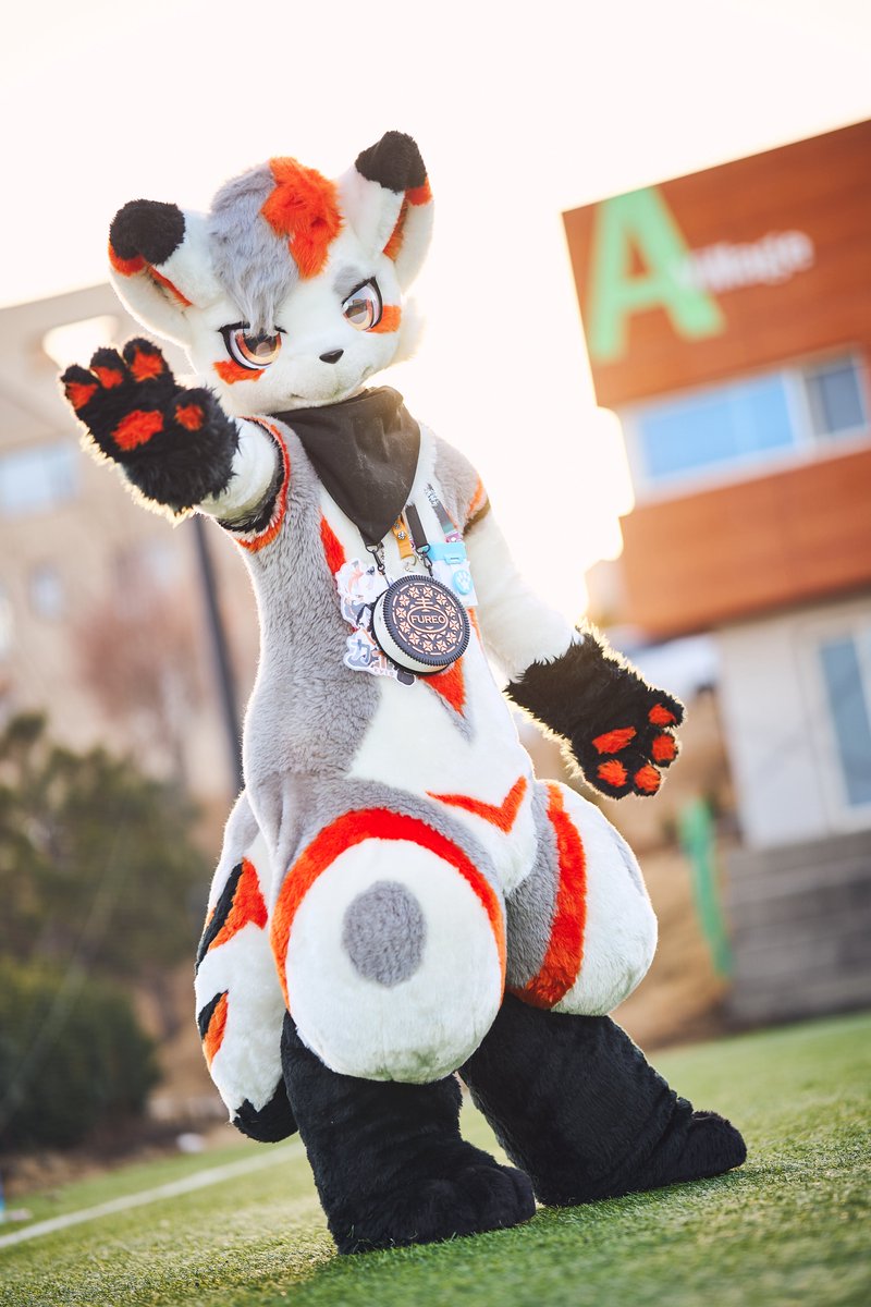 FALSE...?🥷@カイル🦊 tweet media