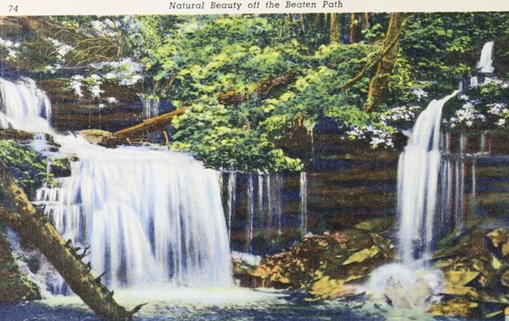 It feels a little chilly for the #FirstDayofSpring, but temps will soon rise. This 1939 #postcard, preserved by the Stare #Archives, captures the natural beauty of Ricketts Glen in Luzerne County. Search the collections - pastatearchives.com