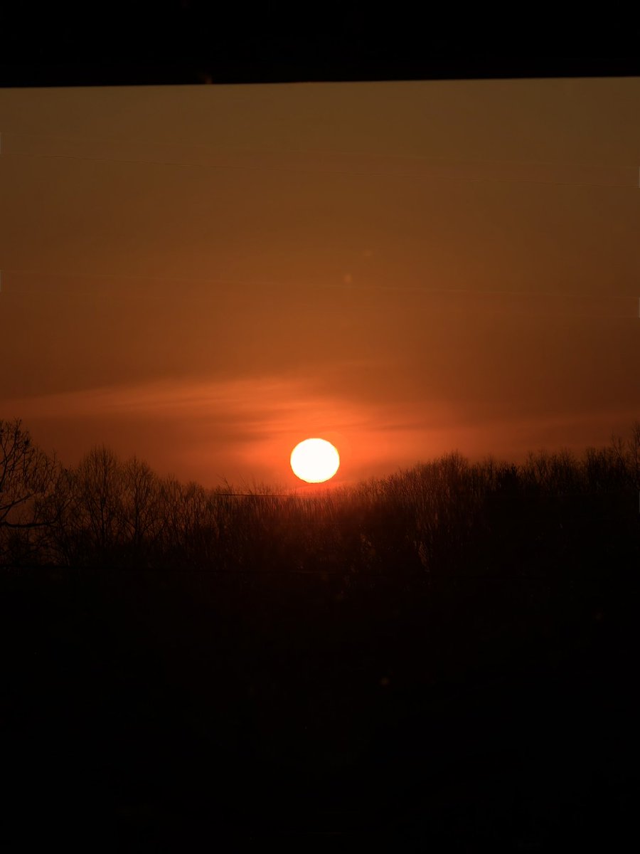 Daniel Griffith tweet media