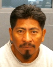 U.S. Immigration and Customs Enforcement tweet media