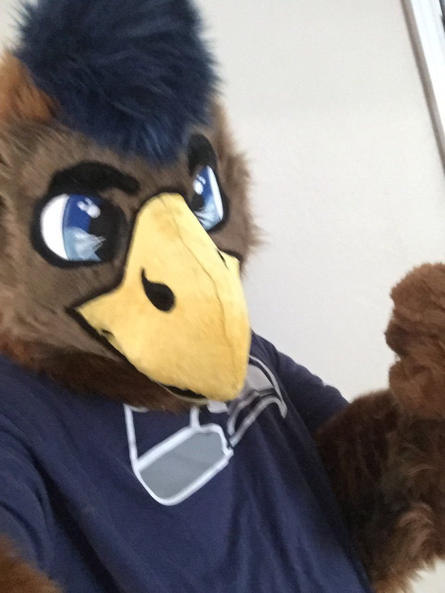 That freakin bird that I hate tweet media