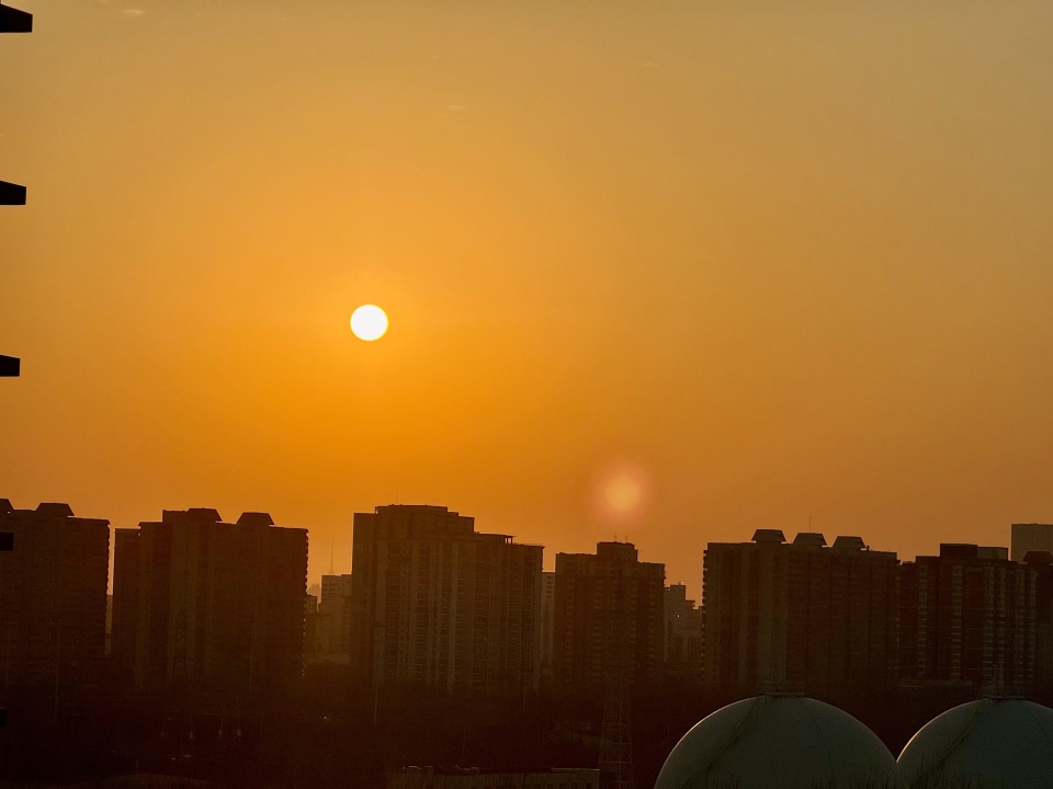 Jopitz Pitz tweet media