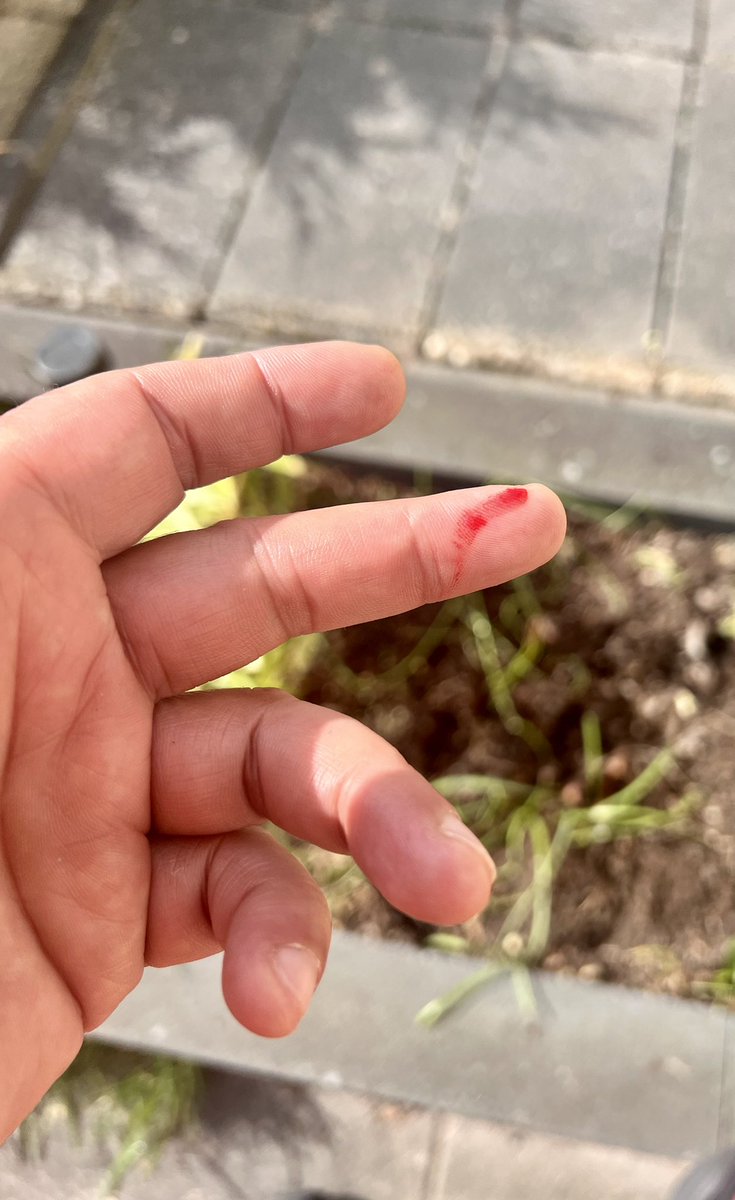 Ⓜ️arcel ☺️ tweet media