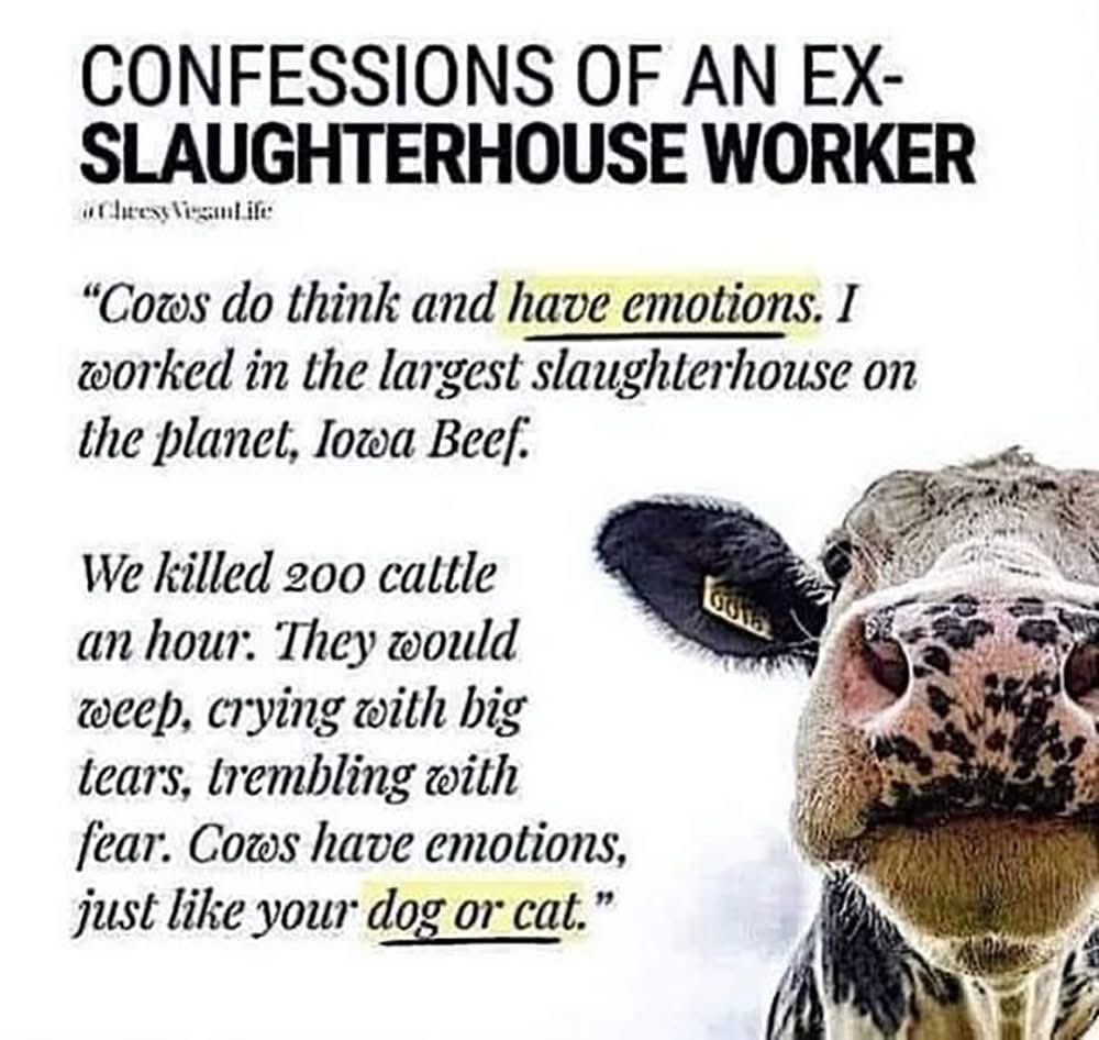 Priscilla Feral tweet media