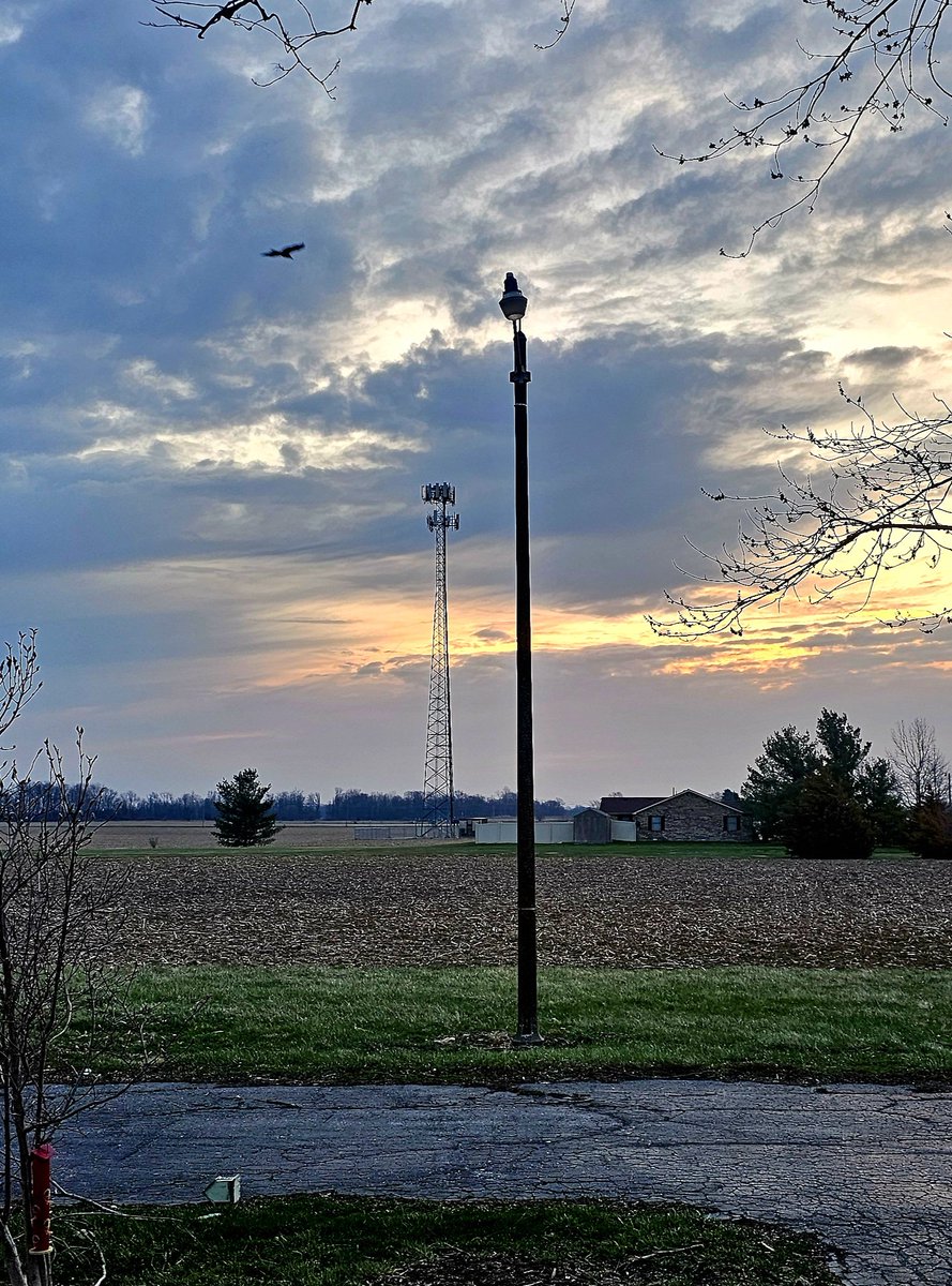 Corinne Flatt tweet media