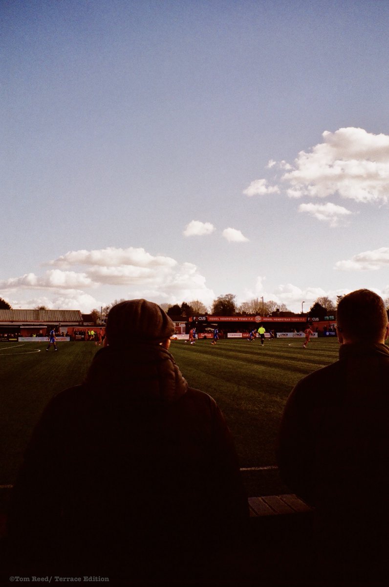 Tom Reed tweet media