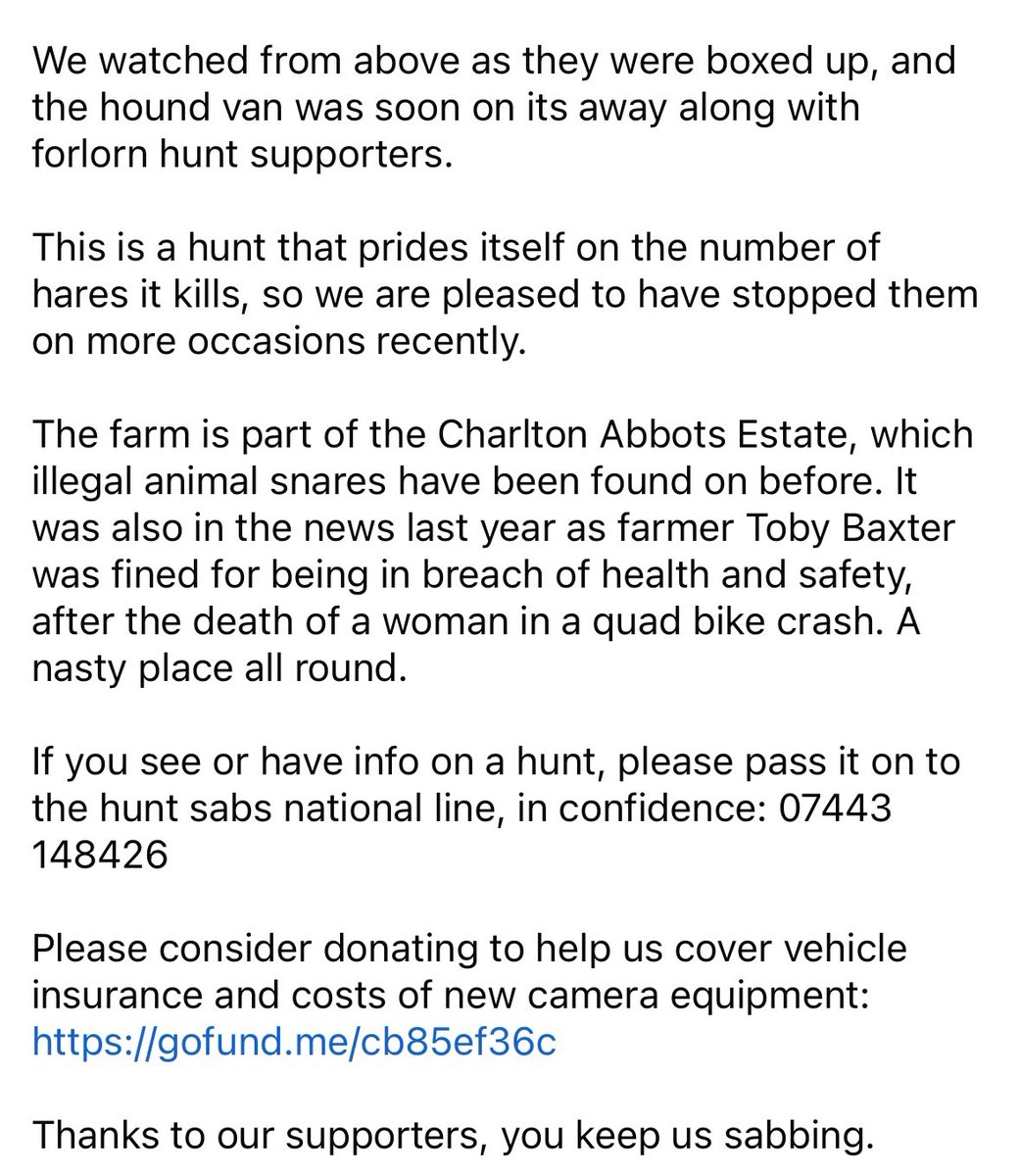 Severn Vale Hunt Sabs tweet media