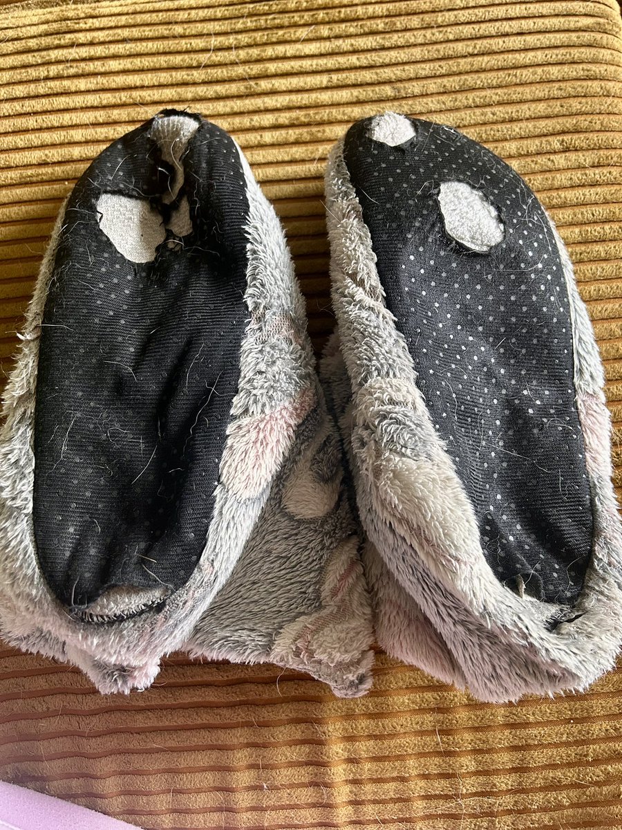 Goddess Stella👑 tweet media