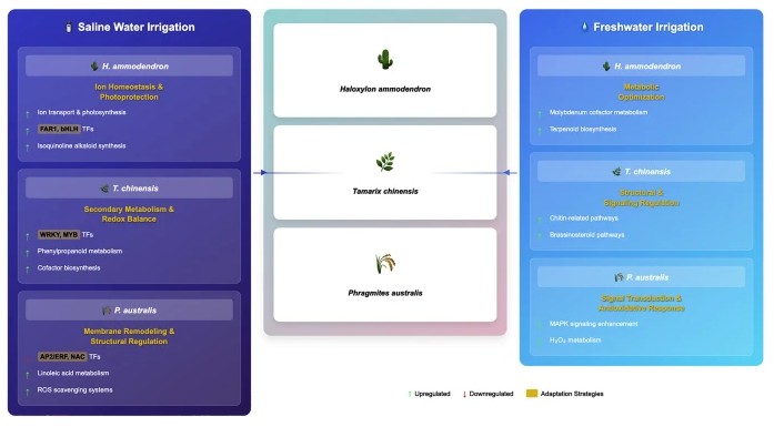 Plant Cell Reports tweet media