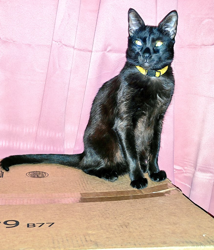 ⛱️☀️ Summer Zue ☀️⛱️ tweet media