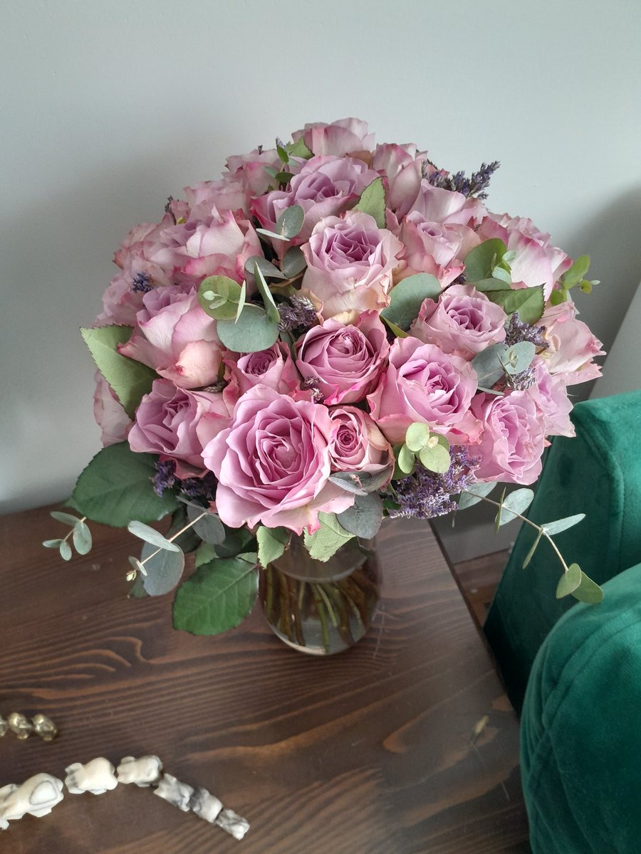 Emine Ercan 🍀🐞🕊 tweet media