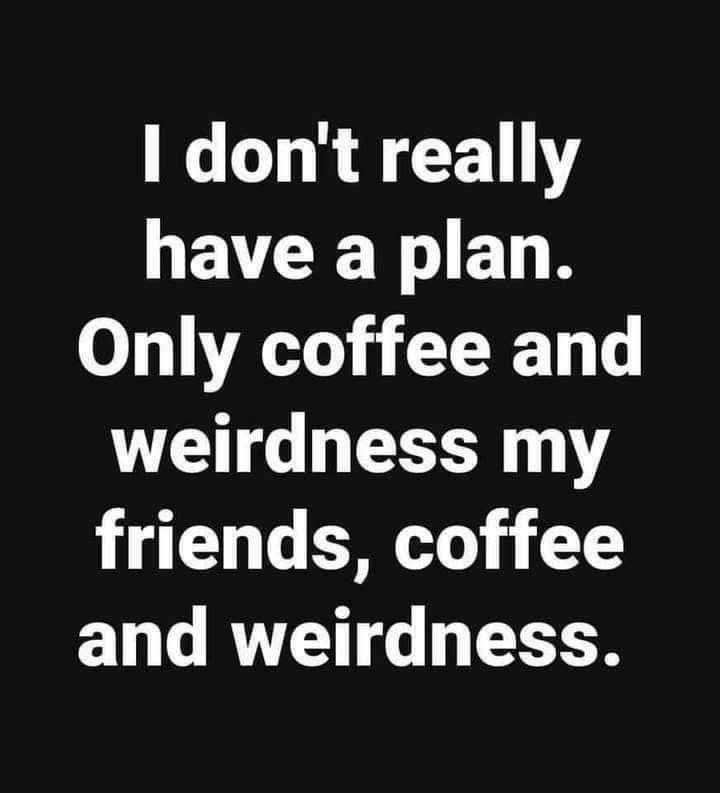 BigNoseKate tweet media