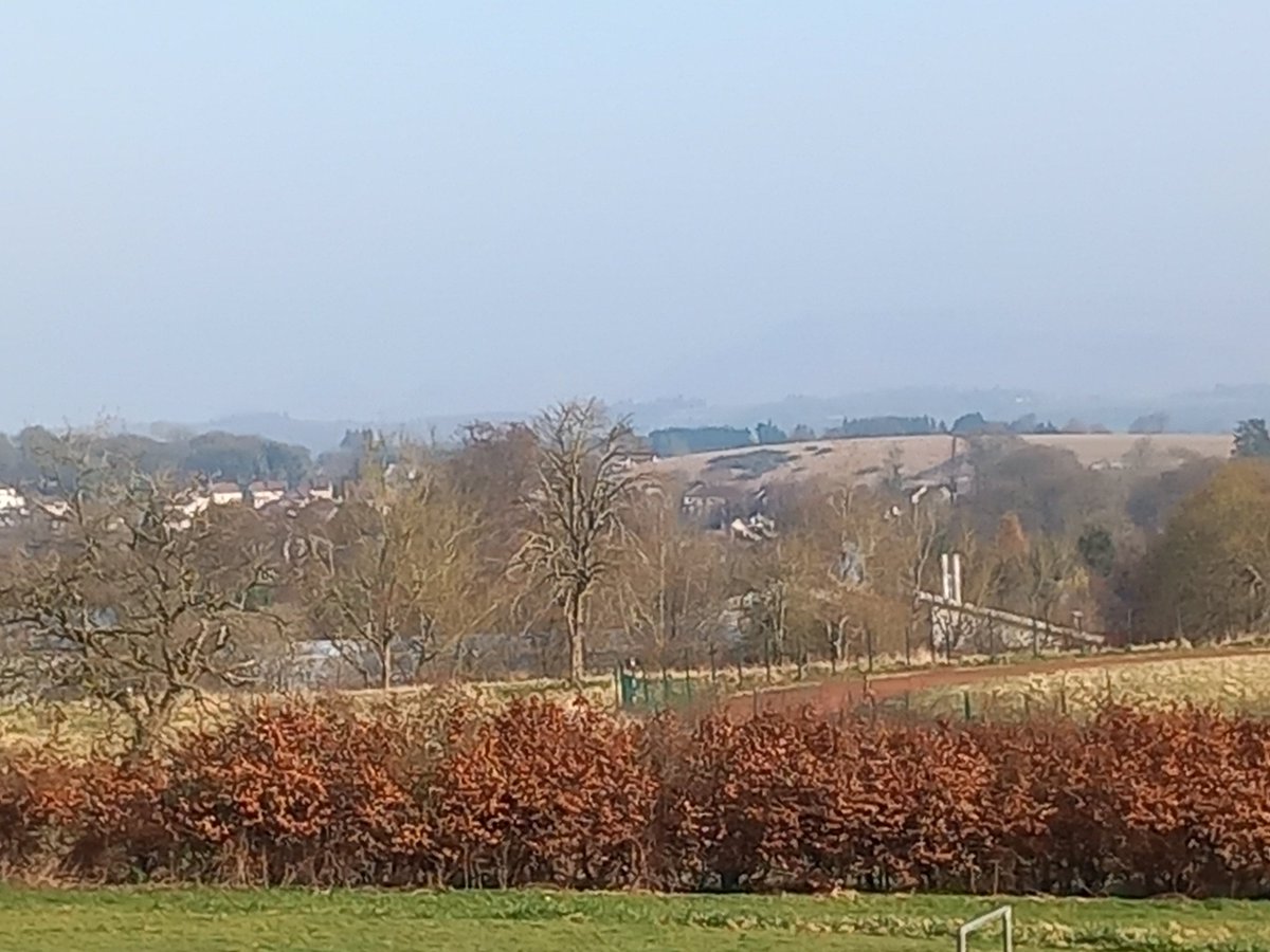 The Tourette's in my head tweet media