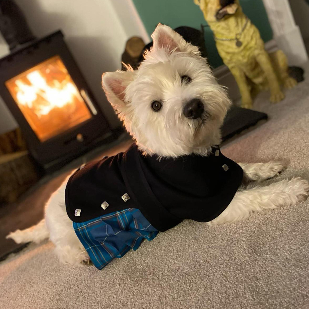 ScotlandShop tweet media