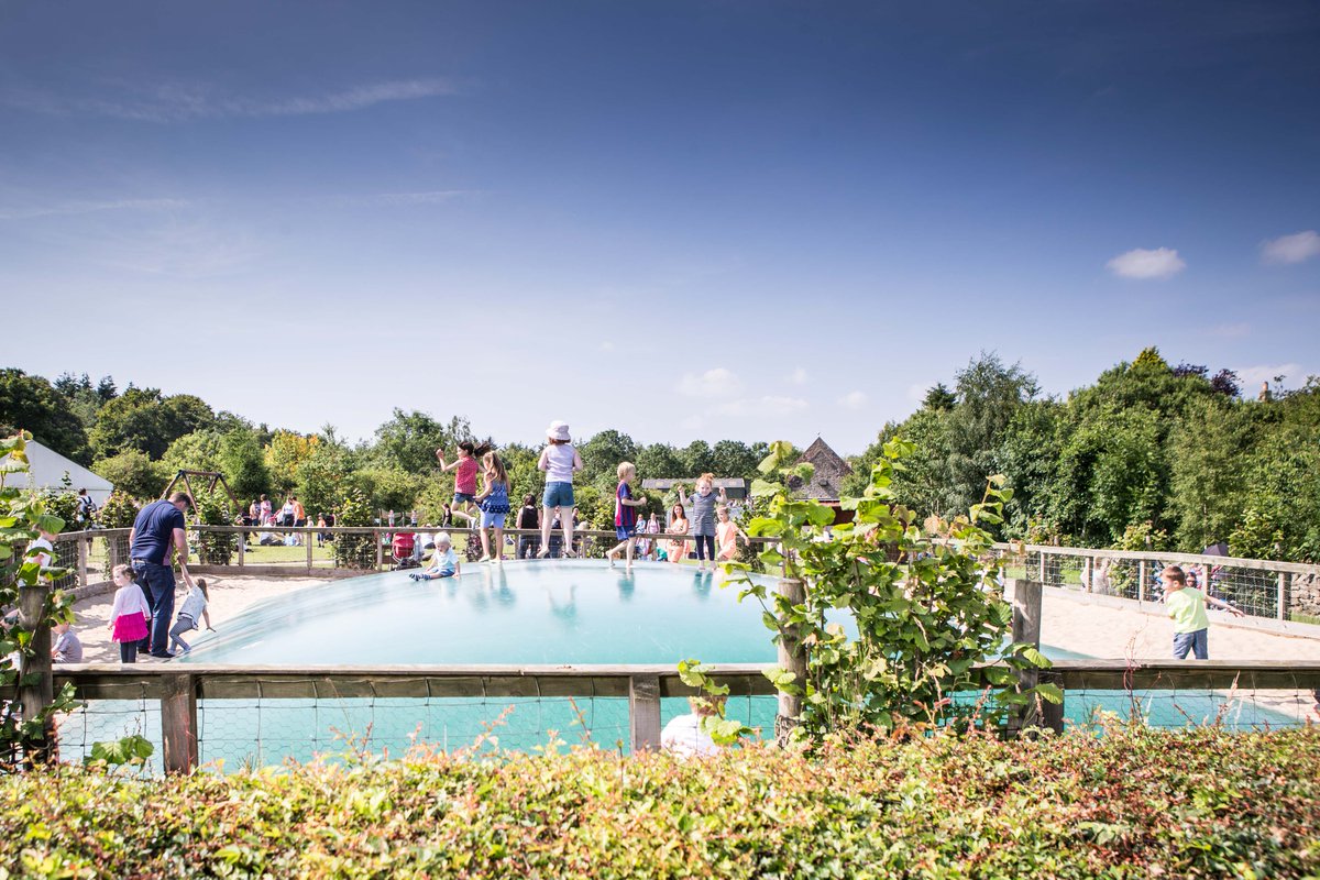 The Fife Free Press tweet media