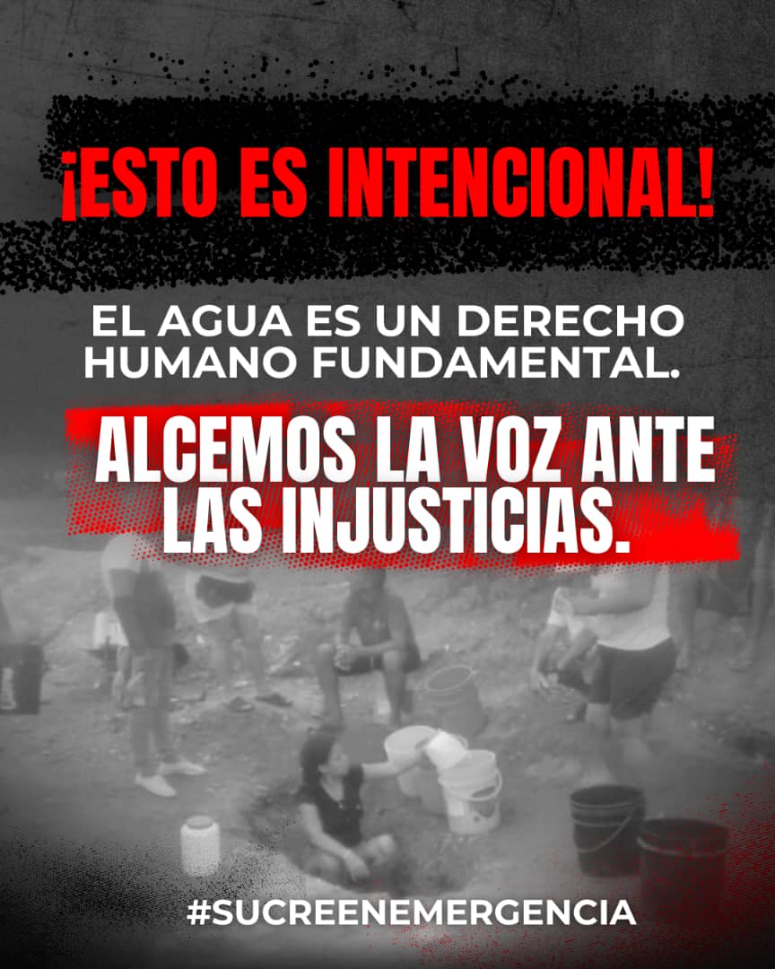 DDHH Vente Venezuela tweet media