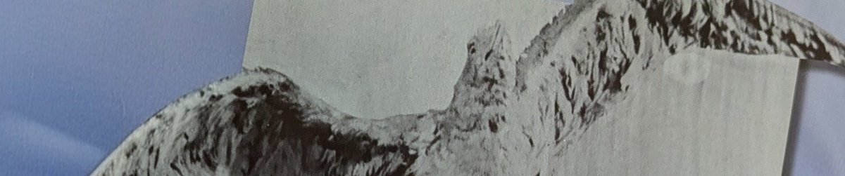 ゼボΣ tweet media