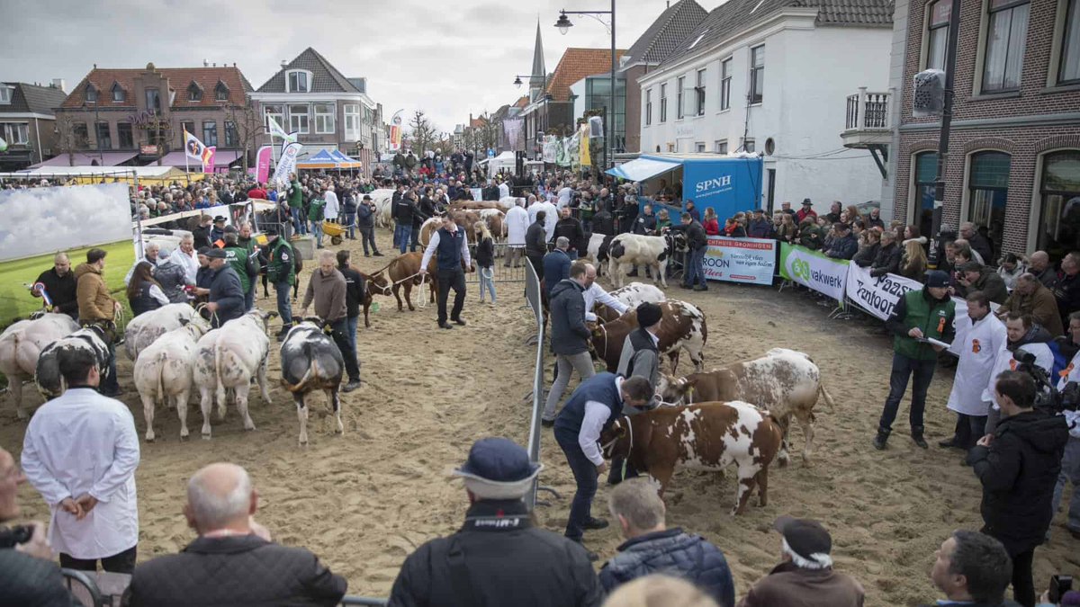 Noordkop247 tweet media