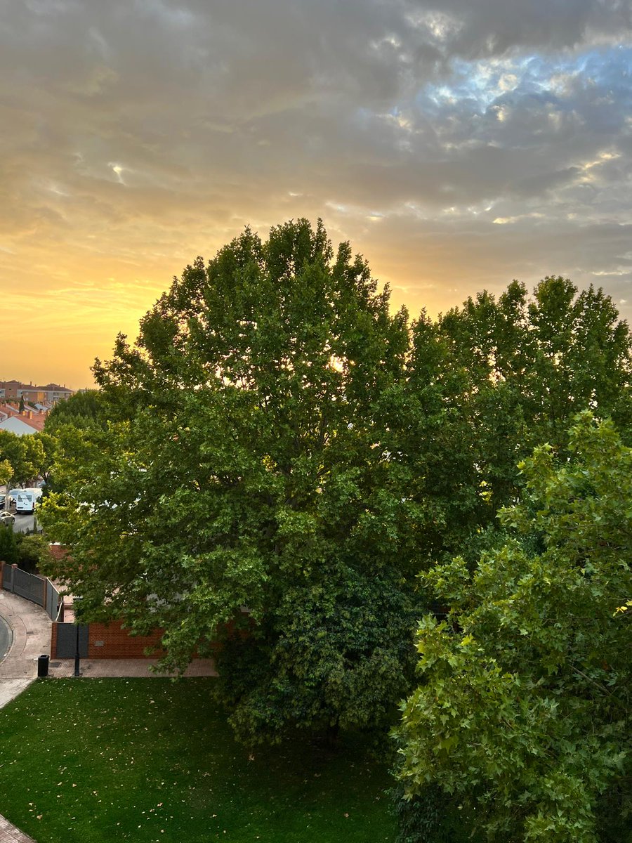 Marta Torruella tweet media