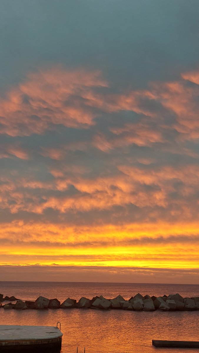 Marta Torruella tweet media