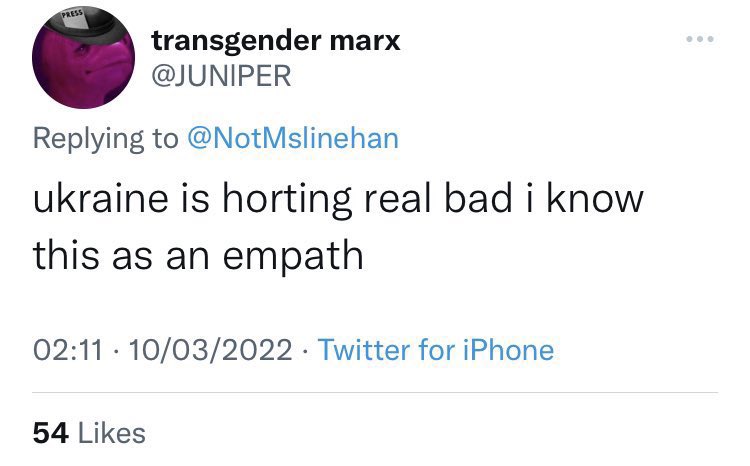 Maar Δ 🐻🔪 tweet media