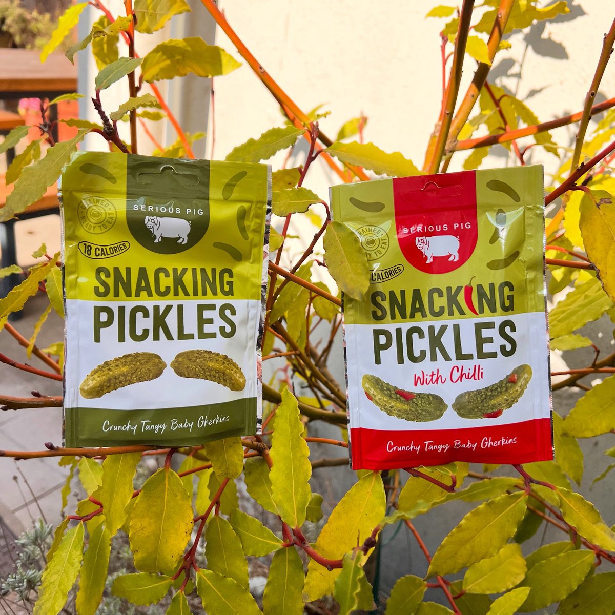 The Magnet Pub tweet media