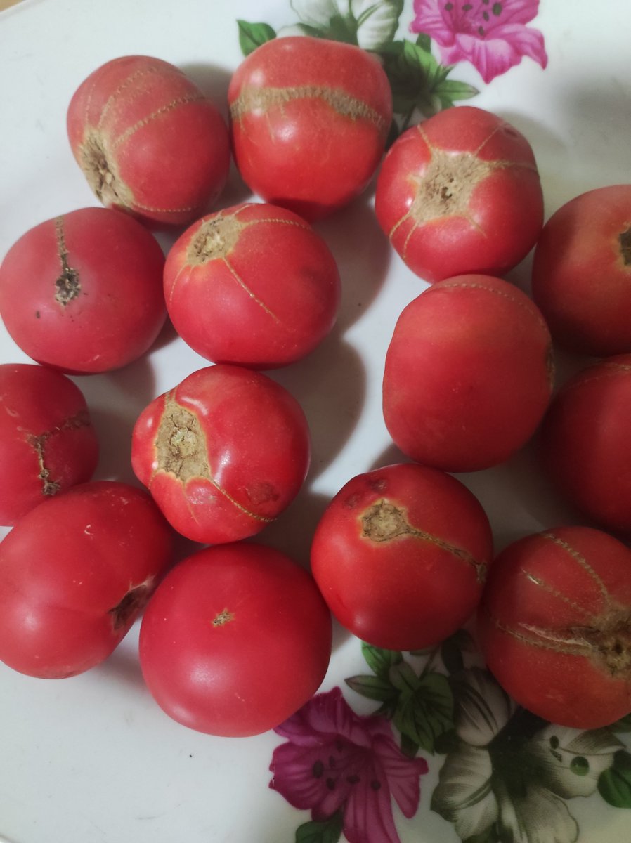 Bar Acesso tweet media