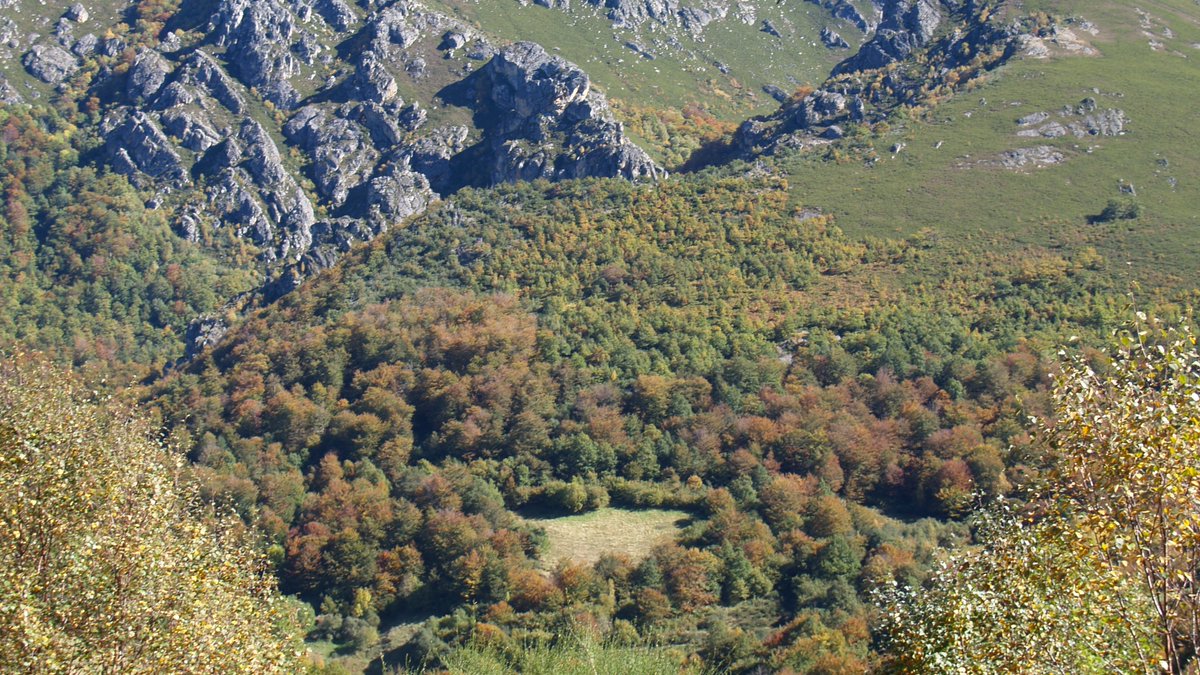 Asmadera tweet media