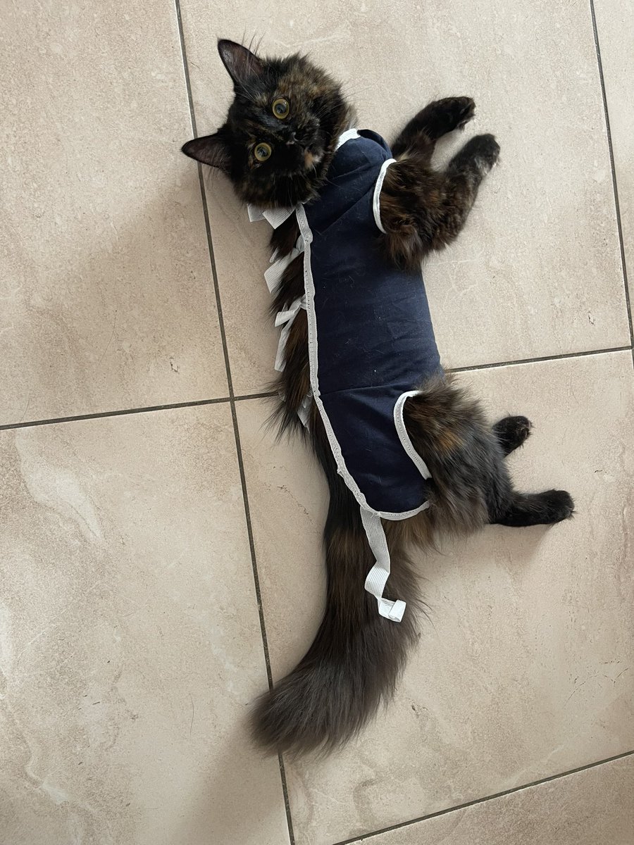 GavleGoatFire tweet media