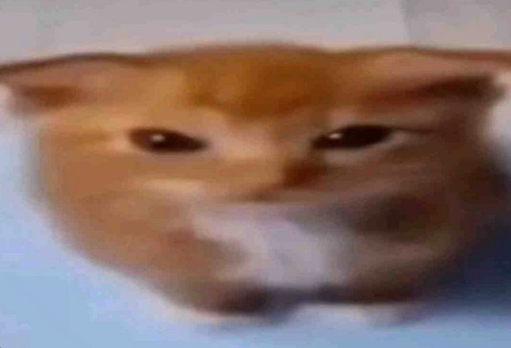 Sir Specter tweet media