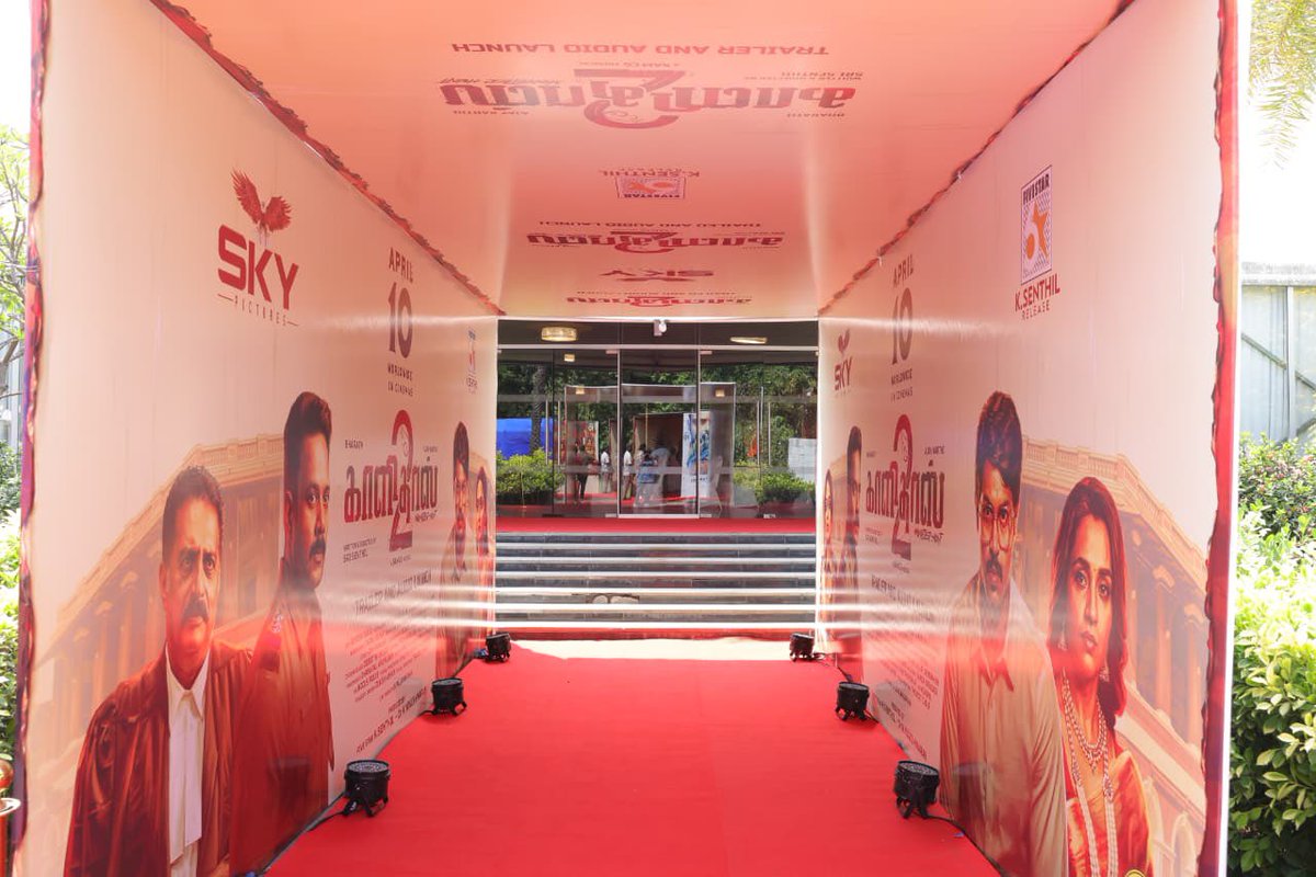 Celluloid Studio tweet media