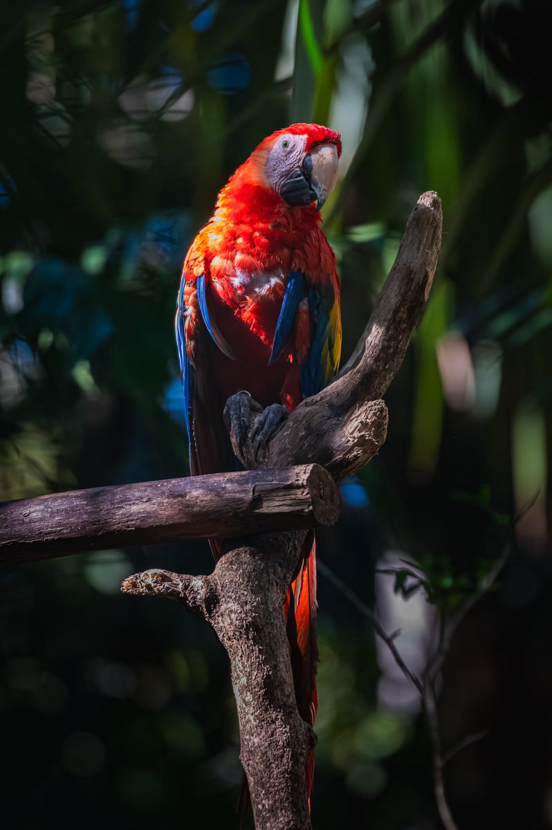 J. P. Monge S. tweet media