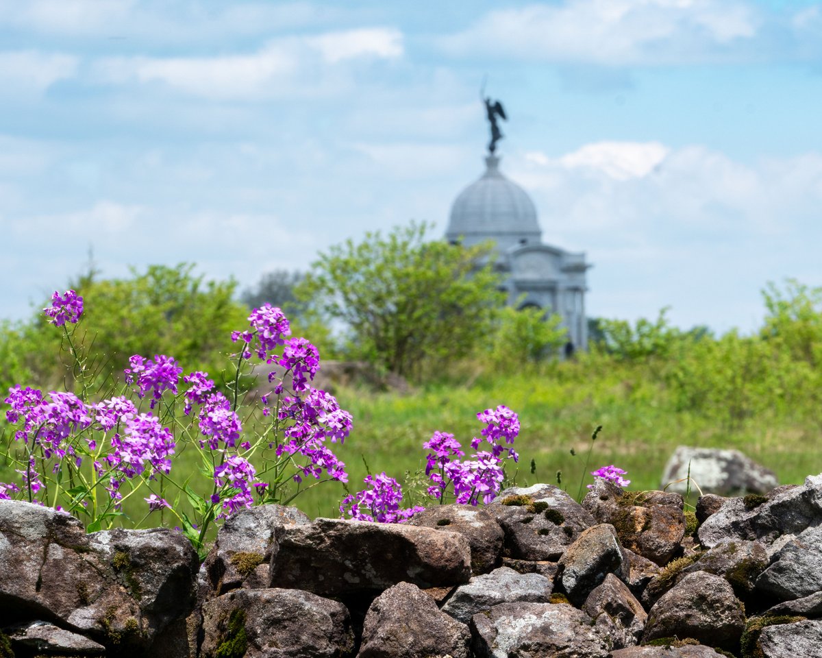 Destination Gettysburg tweet media