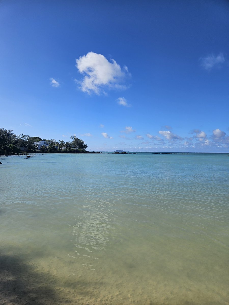 zebusinessweb's tweet image. Et toi tu fais quoi pendant que openclaw bosse a ta place ?
#mauritius
