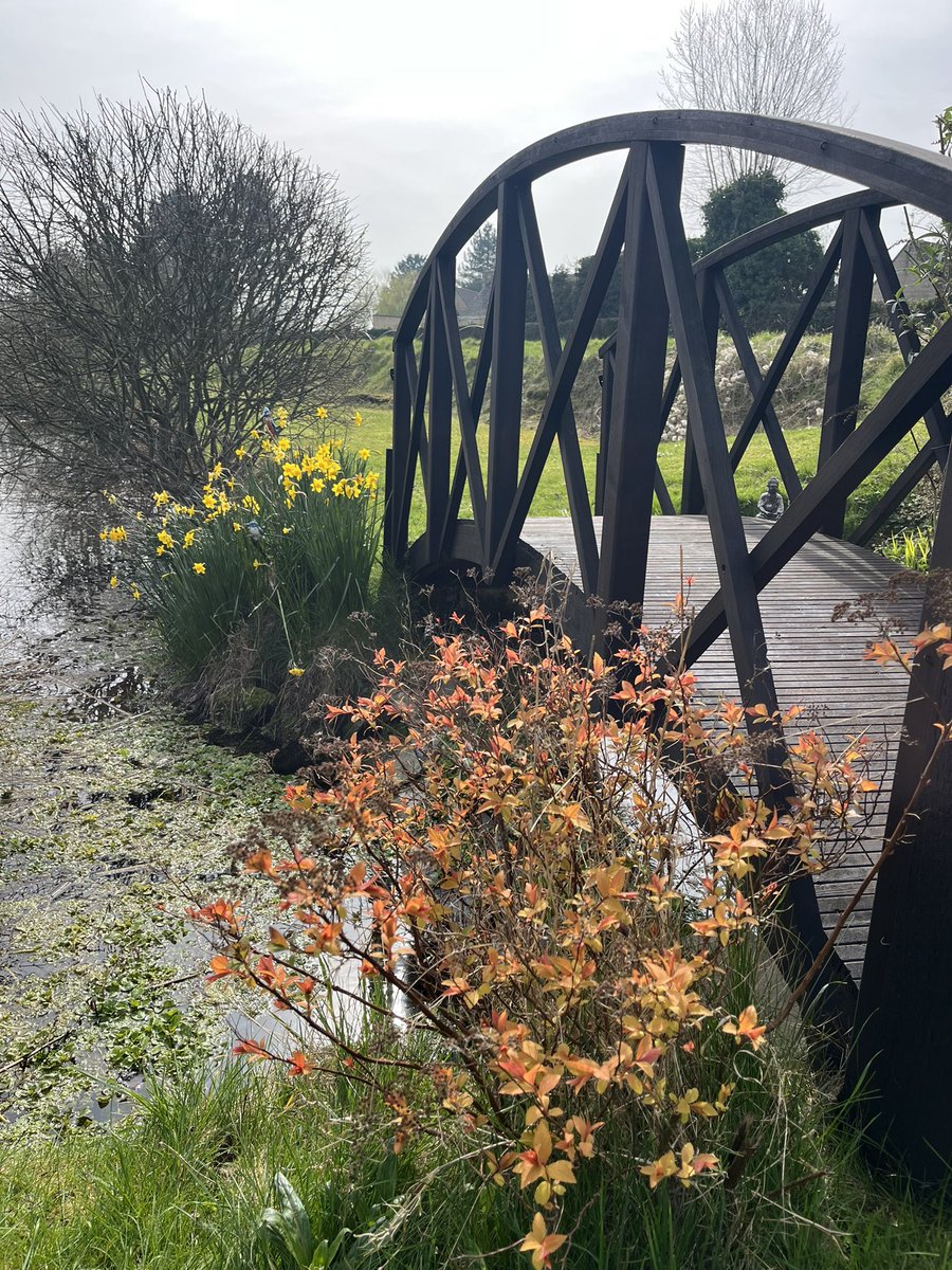 Cotswold Carp Farm Campsite tweet media