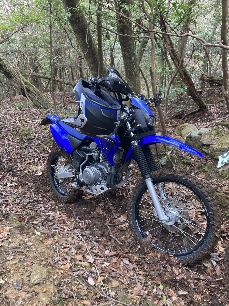 cossolee's tweet photo. TTR125で3ヶ月ぶりの山を楽しみました。
素晴らしいアテンドを受けとても良い時間を過ごす事ができました。

しかしくしゃみと鼻水はずっとでっぱなしで、とても辛い状況でした、、。
#TTR125 https://t.co/DuDzEx7FfX