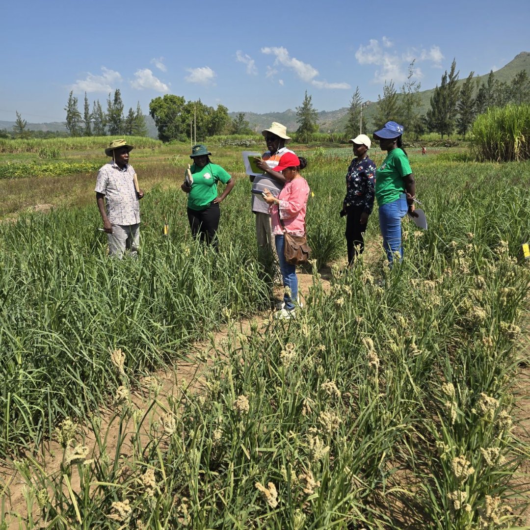 The Crop Trust tweet media