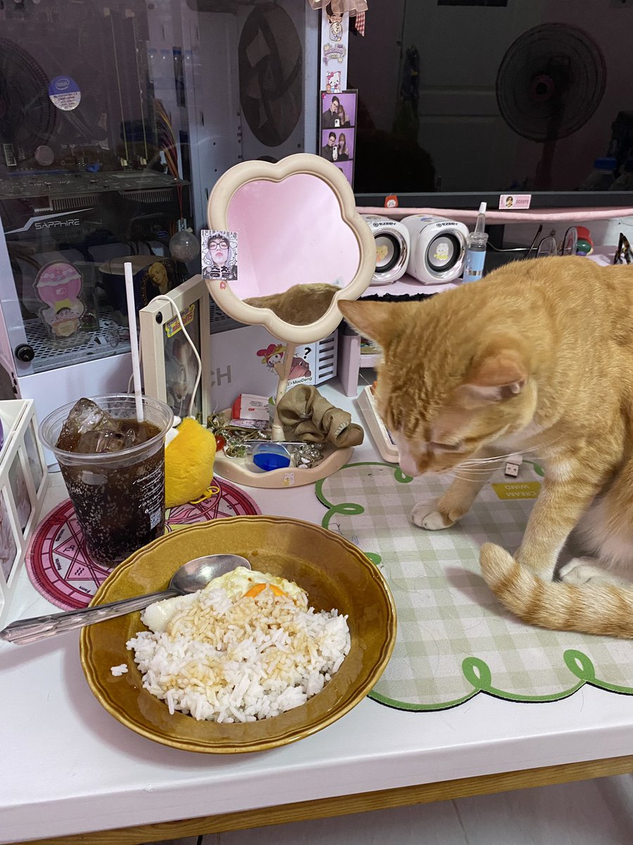 🐰ྀིมัมแม๊น้องคุ้บใจลูกสาวพี่ป๊า tweet media