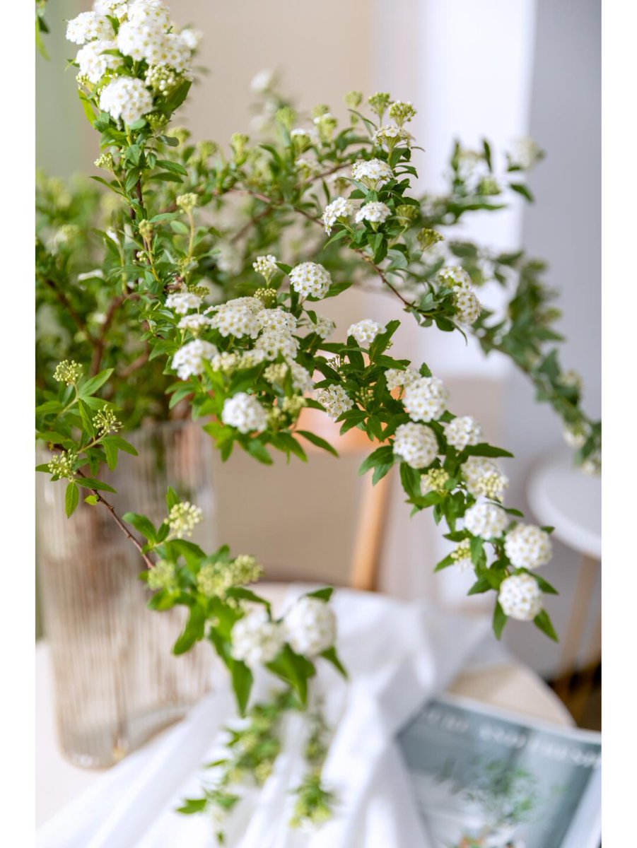 I'ts Farrakhan tweet media