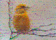 Shortwave Radiogram tweet media