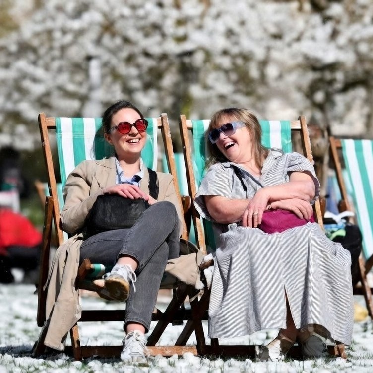 Lino's Version tweet media