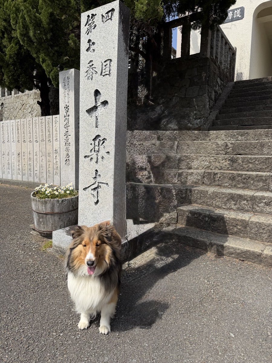 はなここ tweet media