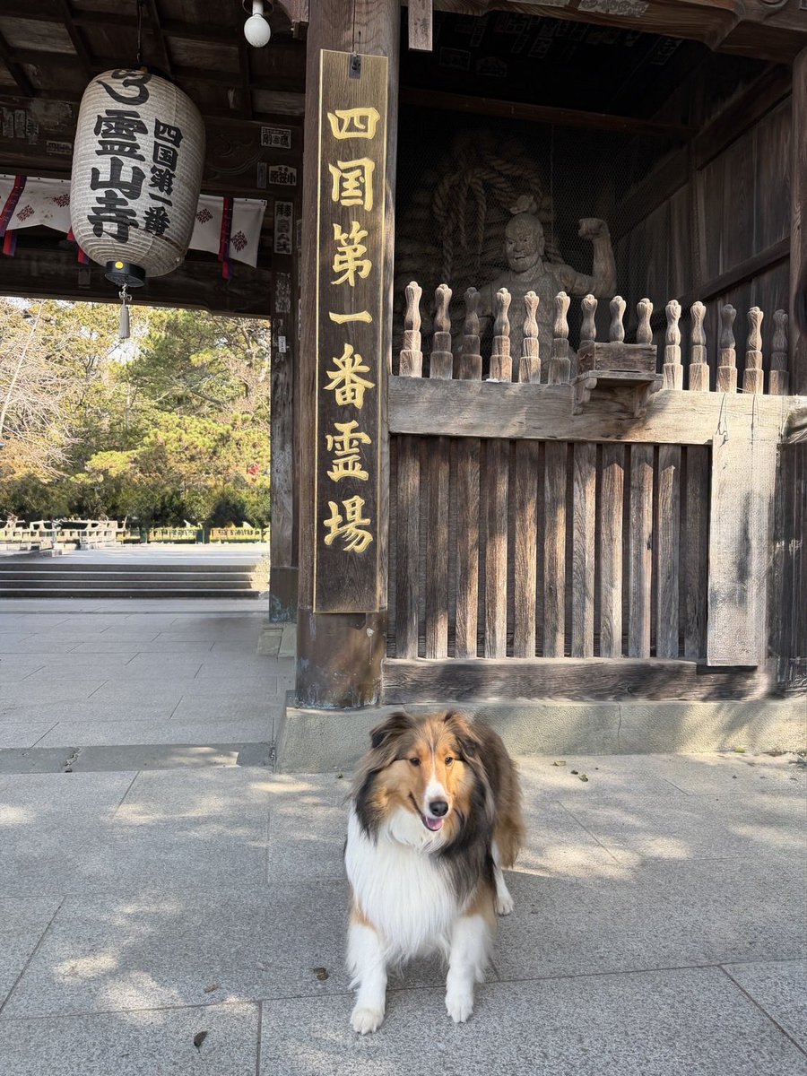 はなここ tweet media