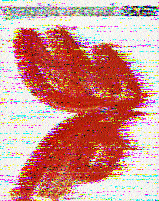 Shortwave Radiogram tweet media