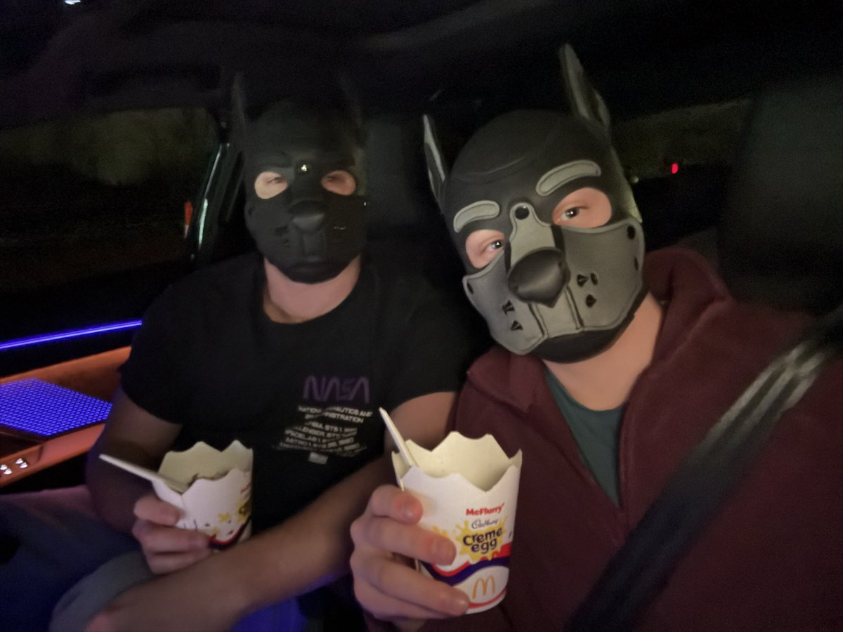 Pup_Comet tweet media